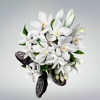 GOOD GIRL Body Cream  200ml-215178 GOOD GIRL Body Cream  200ml-215178 1